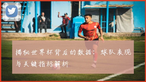 揭秘世界杯背后的数据：球队表现与关键指标解析