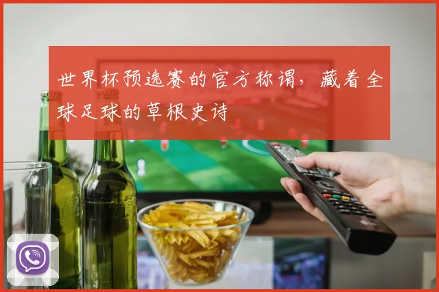 世界杯预选赛的官方称谓,藏着全球足球的草根史诗