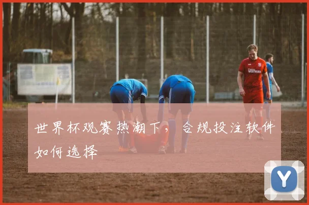 世界杯观赛热潮下,合规投注软件如何选择