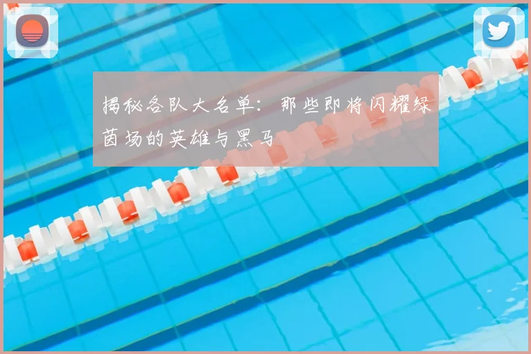 揭秘各队大名单:那些即将闪耀绿茵场的英雄与黑马