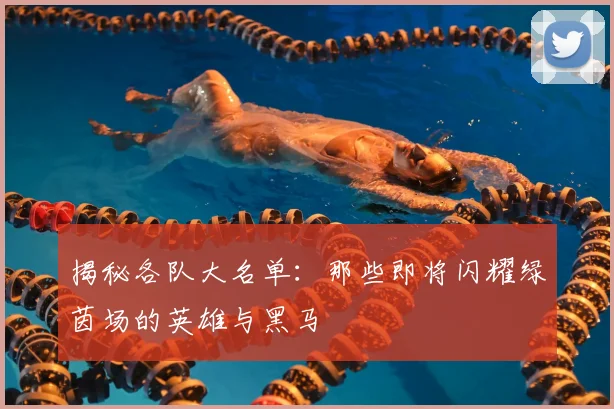 揭秘各队大名单:那些即将闪耀绿茵场的英雄与黑马