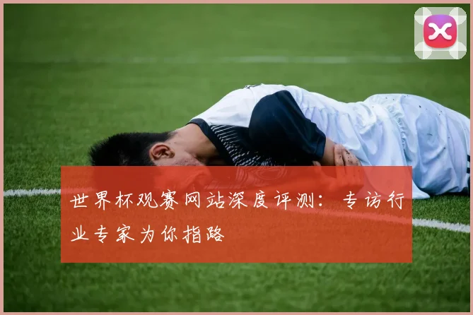 世界杯观赛网站深度评测：专访行业专家为你指路