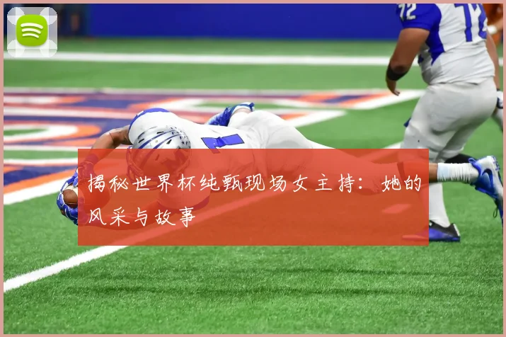 揭秘世界杯纯甄现场女主持：她的风采与故事