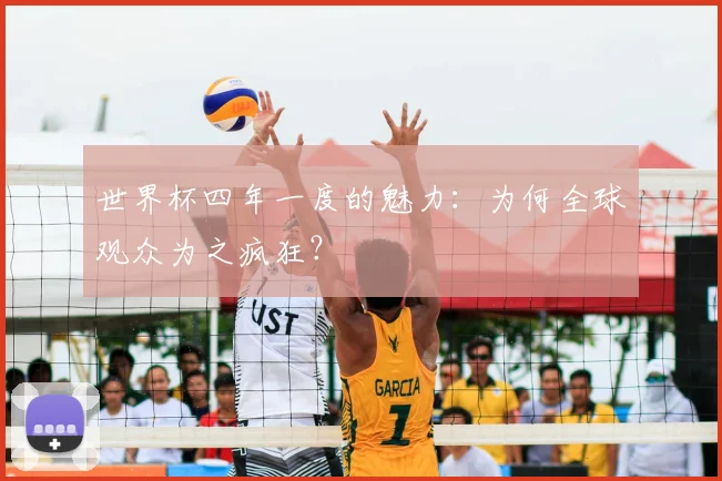 世界杯四年一度的魅力:为何全球观众为之疯狂?