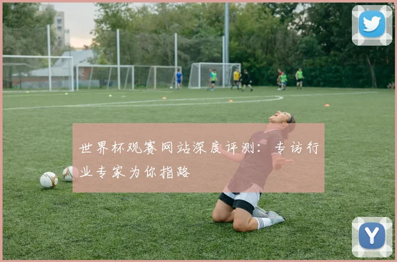 世界杯观赛网站深度评测：专访行业专家为你指路
