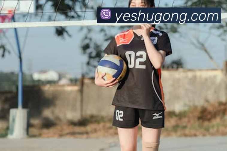 pg网页版入口发展历程